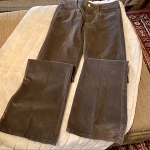 Banana Republic Mens Brown Brushed Cords